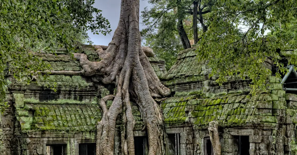 ¿Dónde se encuentra el templo de Vishnu en Camboya?