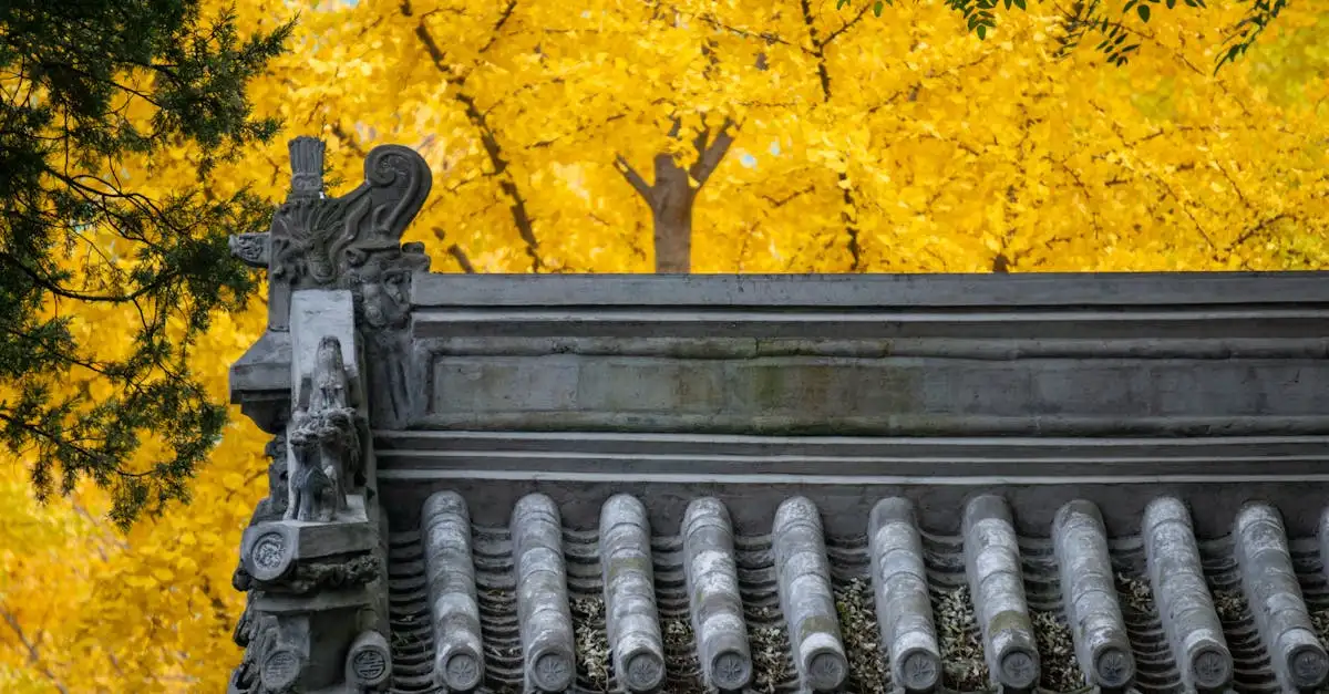 ¿Ginkgo biloba: cuáles son sus beneficios y usos?