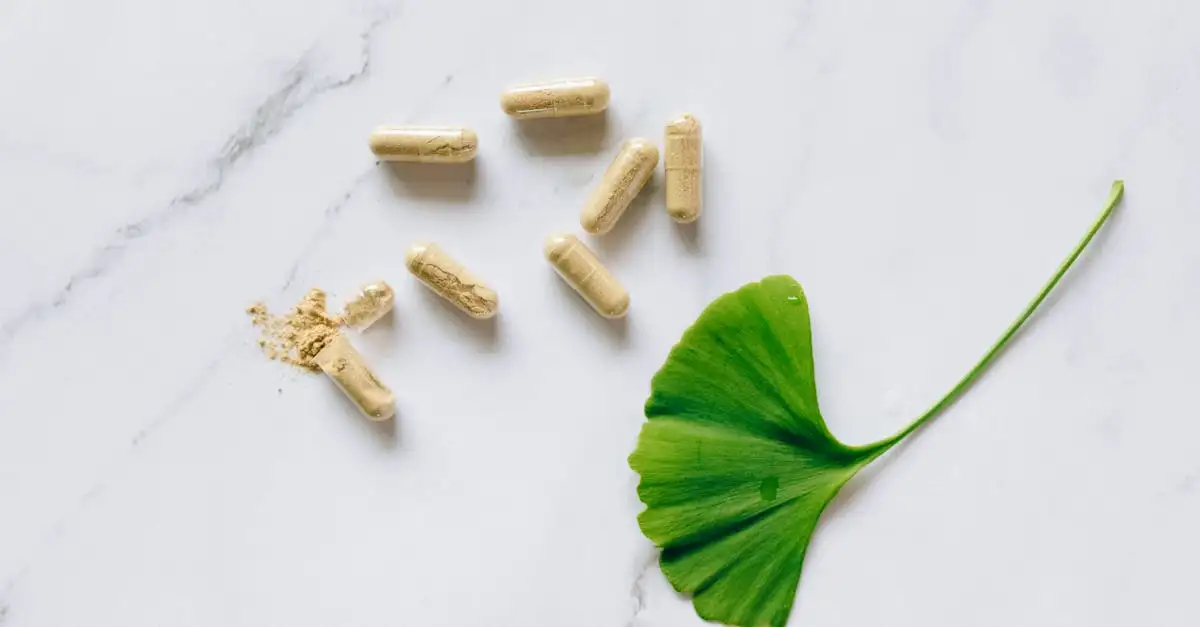¿Ginkgo biloba: cuáles son sus beneficios y usos?