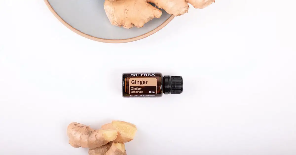¿Para qué se utiliza el aceite de jengibre y sus beneficios?