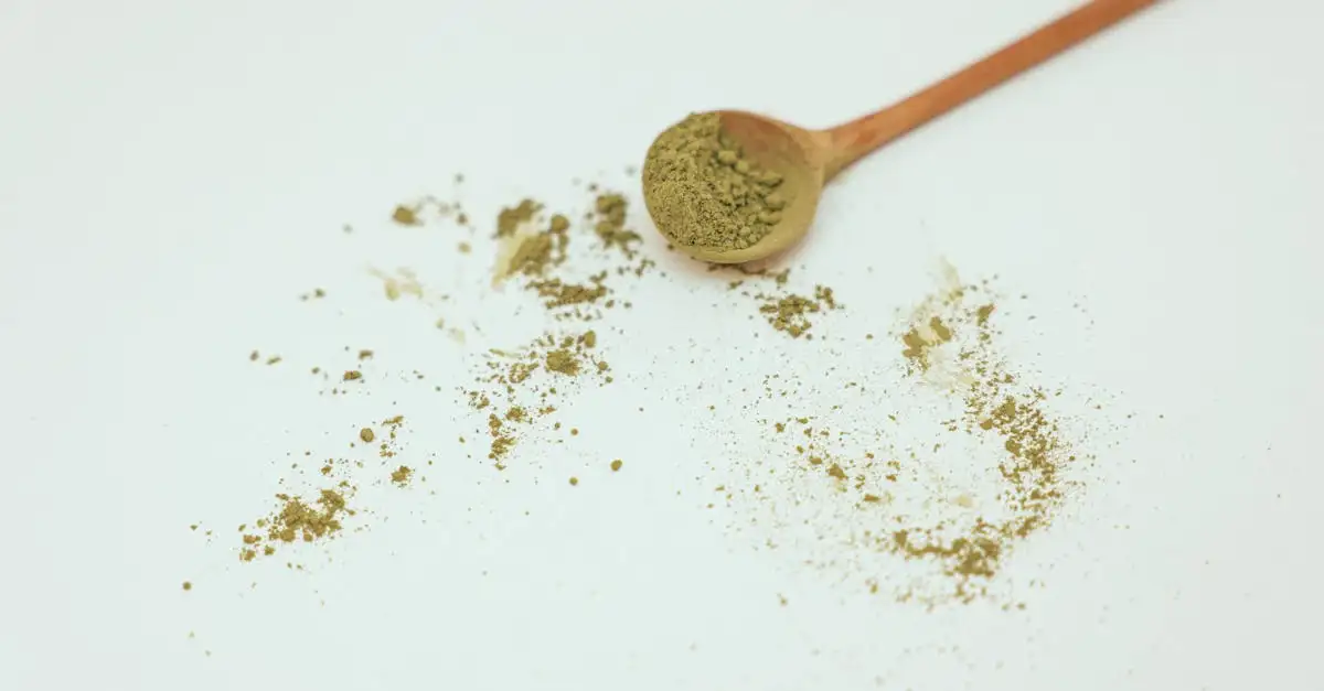 ¿Para qué sirve la menta estrellada y cuáles son sus beneficios?
