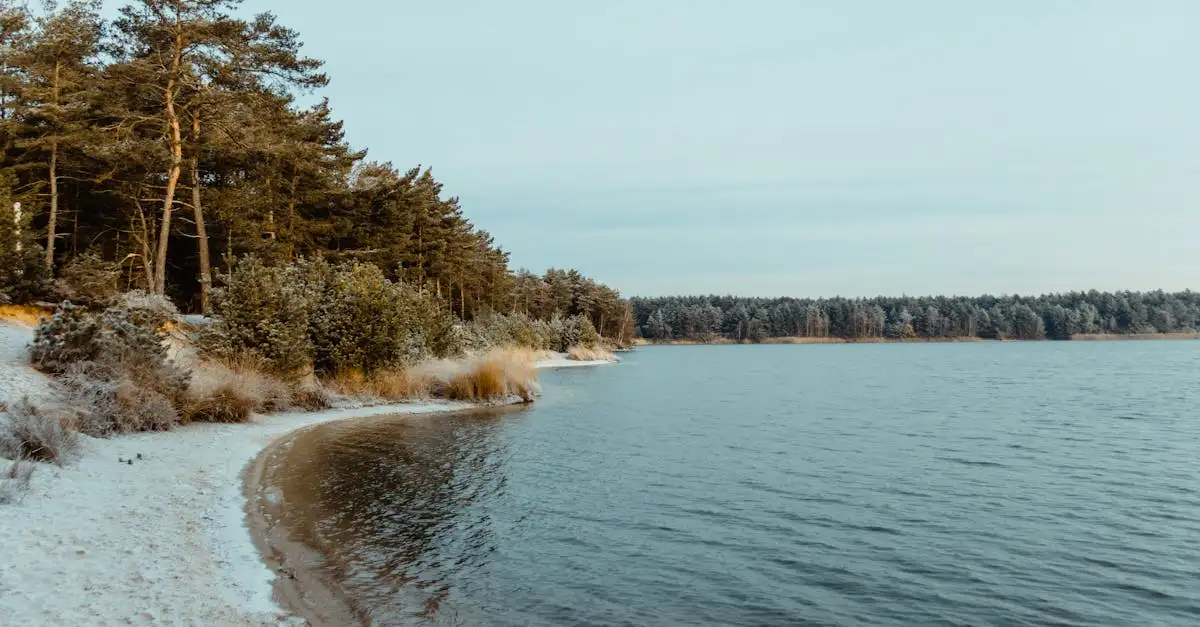¿Por qué el Lago Erie es clave para el agua dulce?