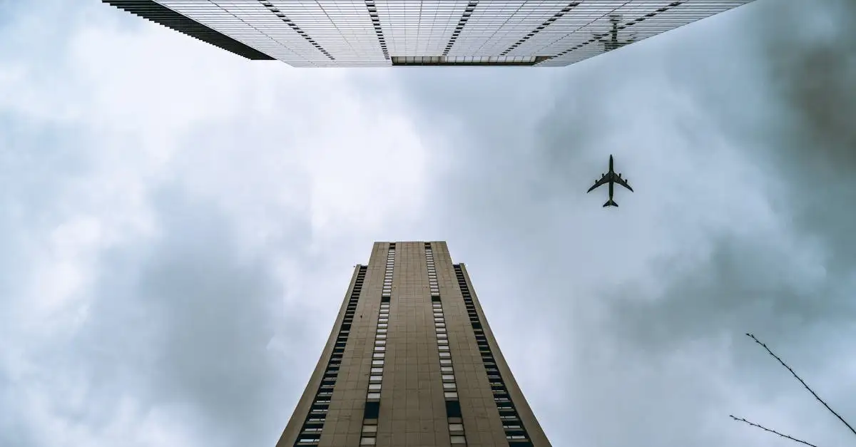 ¿Por qué las alas de los pájaros son ideales para volar?