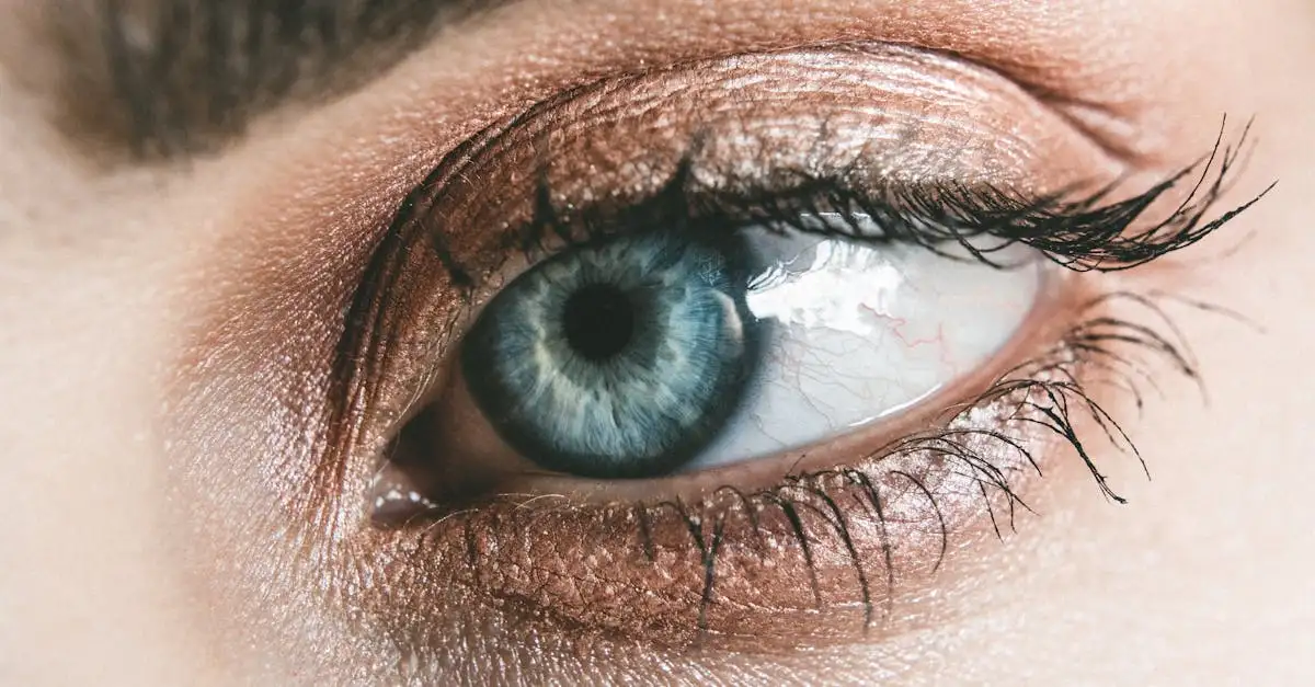 ¿Qué sombra de ojos resalta los ojos azul grisáceos?