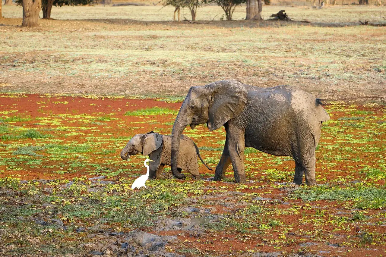 ¿Cuáles son las 3 atracciones imperdibles en Zambia?