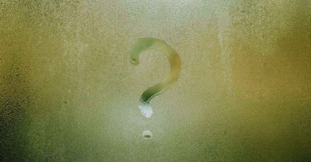 ¿Qué significa Anjo? ¡Descúbrelo aquí!