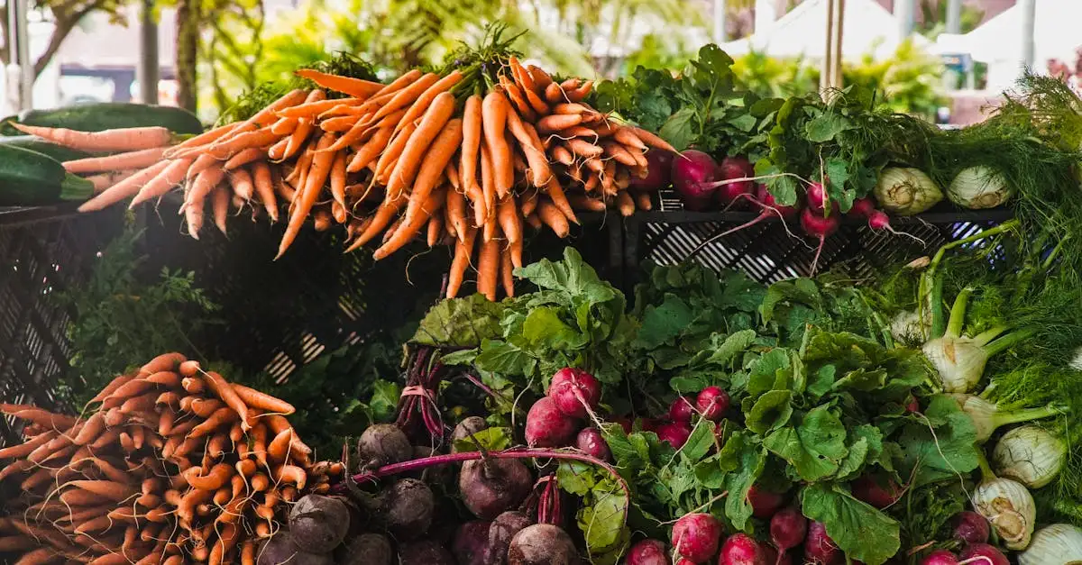 ¿Qué verduras se pueden plantar juntas en el huerto?
