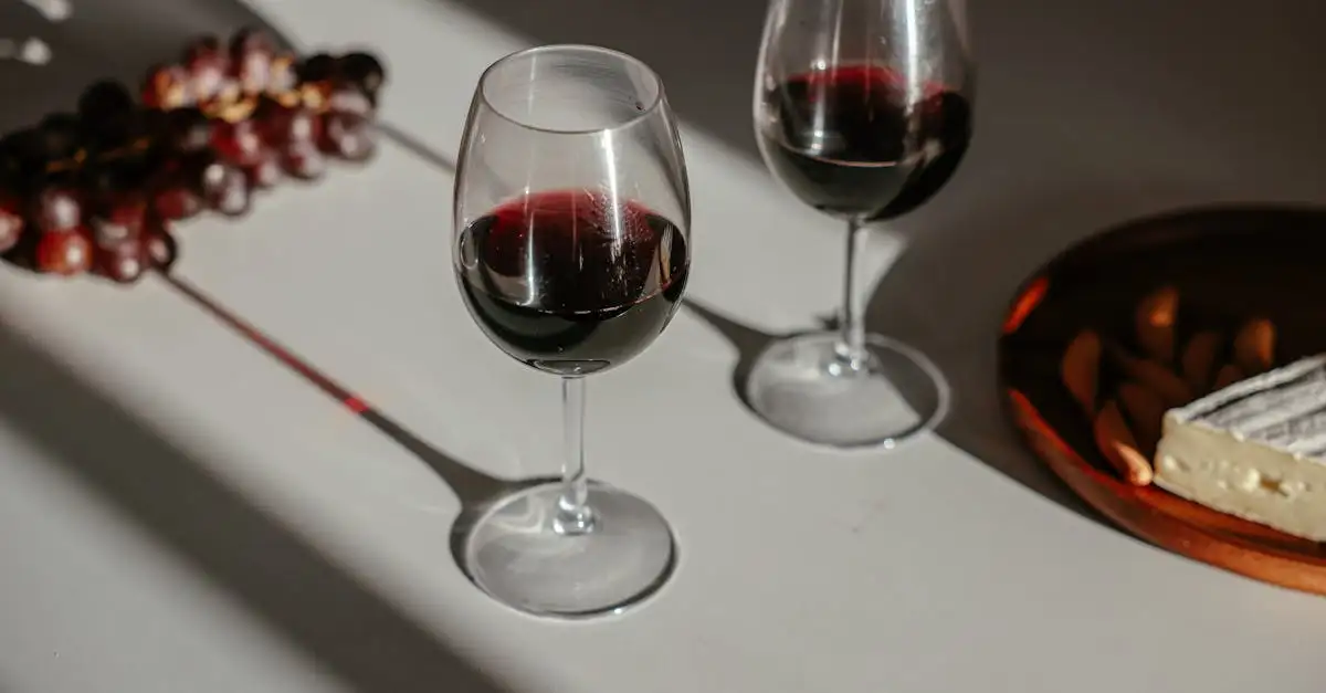 ¿Qué vino marida mejor con la sopa de cebolla francesa?