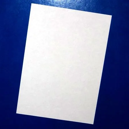 Papel