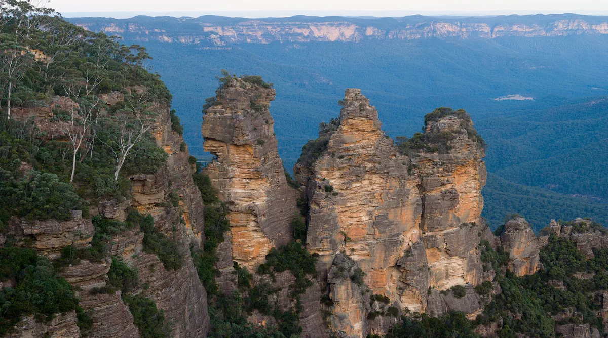 Montañas Azules (Australia)